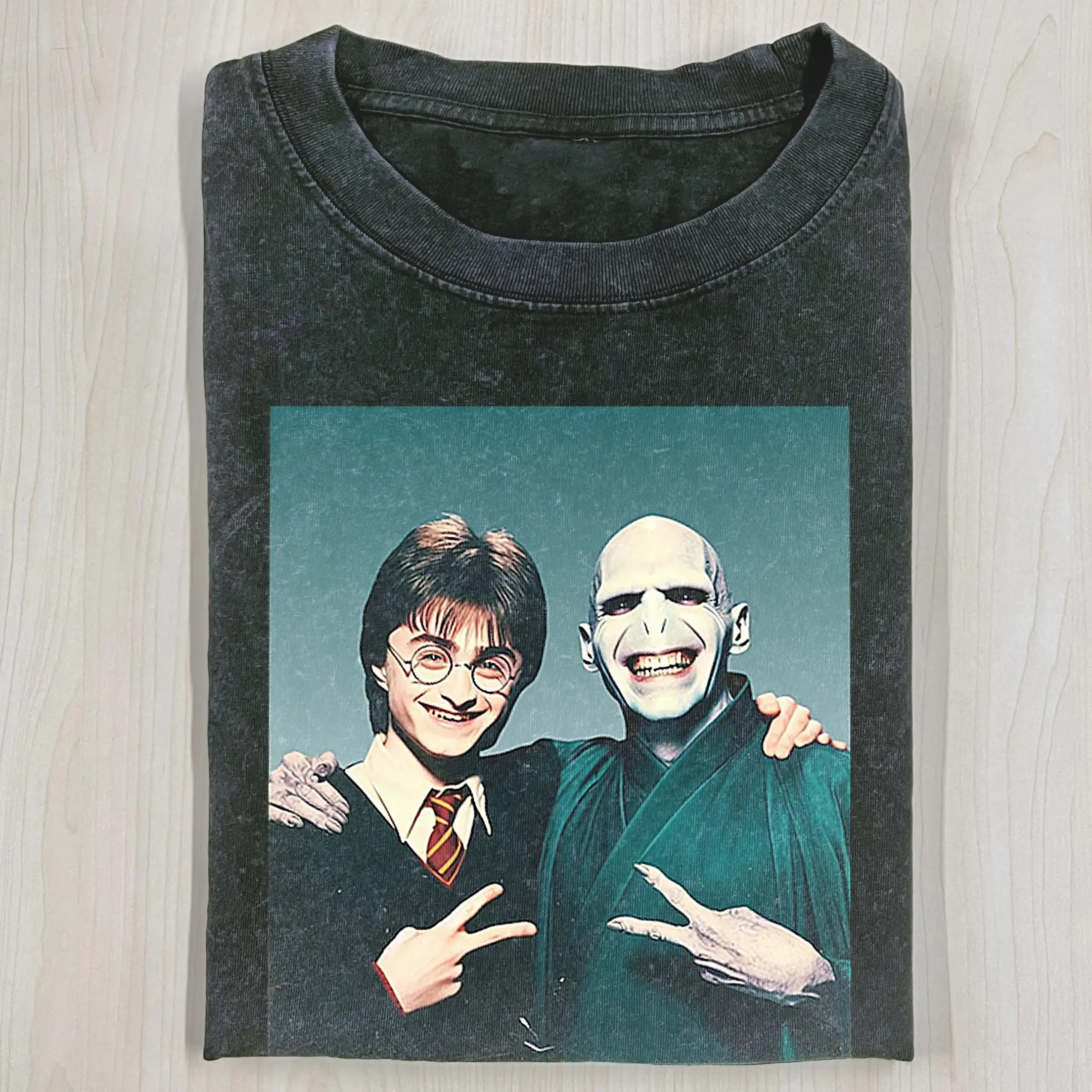 Harry And Voldemort Selfie Shirt Gifts For Harry Potter Fans