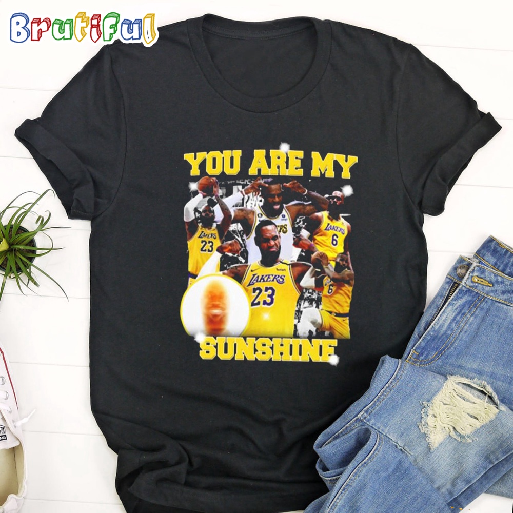 NBA Los Angeles Lakers Lebron James You Are My Sunshine T Shirt
