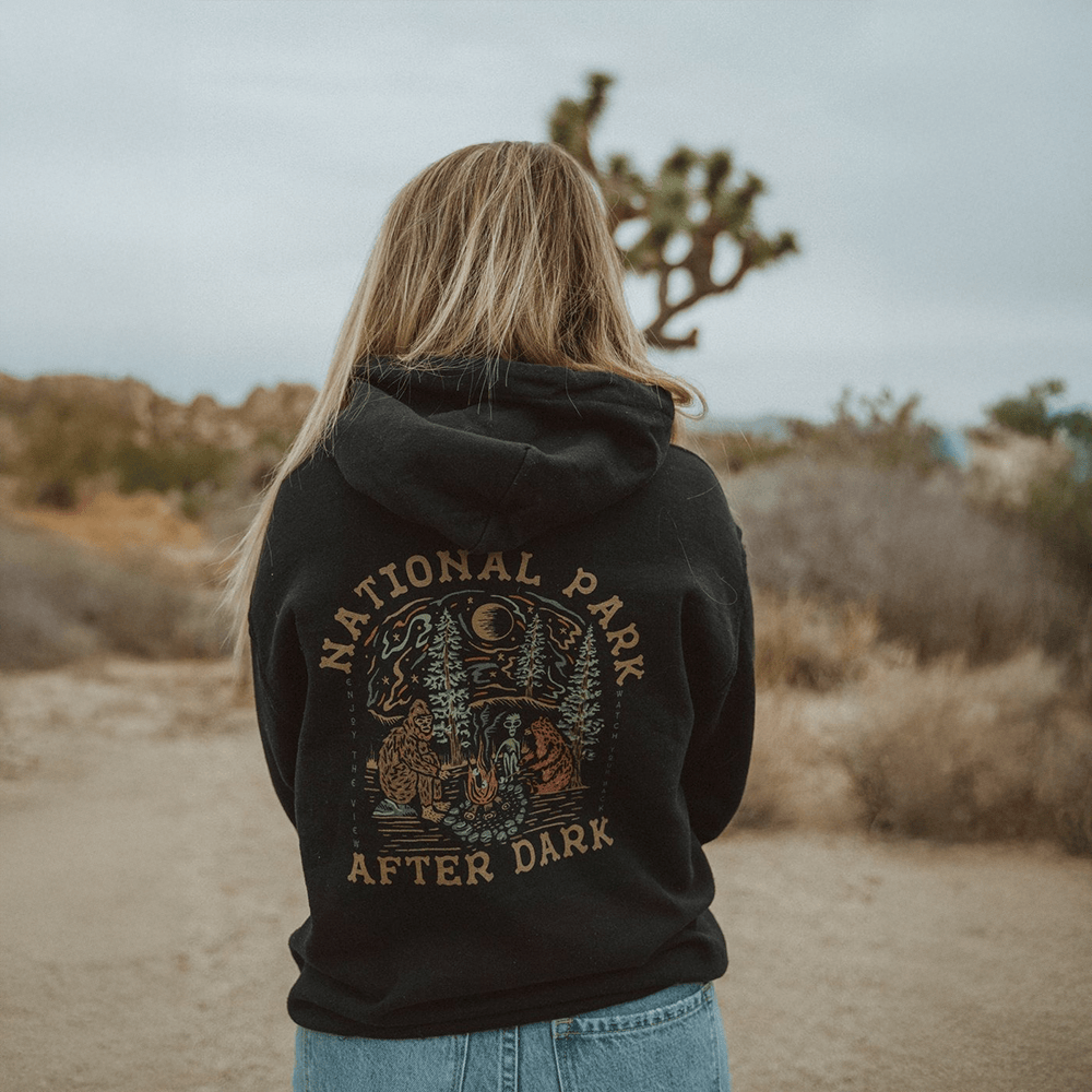 Protect Our Parks Hoodie â€“ National Park After Dark Merch