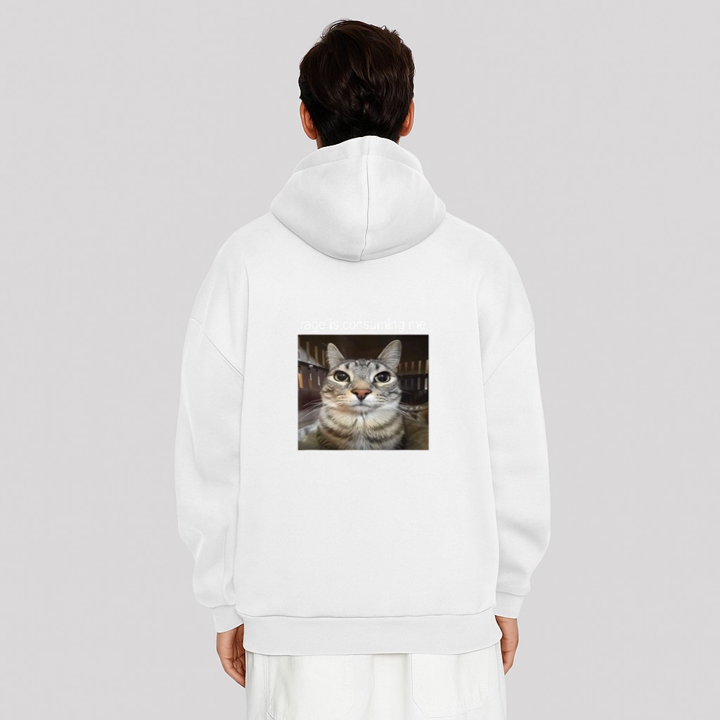 Rage Is Consuming Me Silly Staring Cat Meme Hoodie