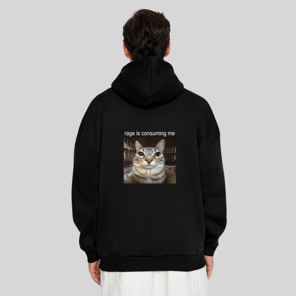 Rage Is Consuming Me Silly Staring Cat Meme Hoodie