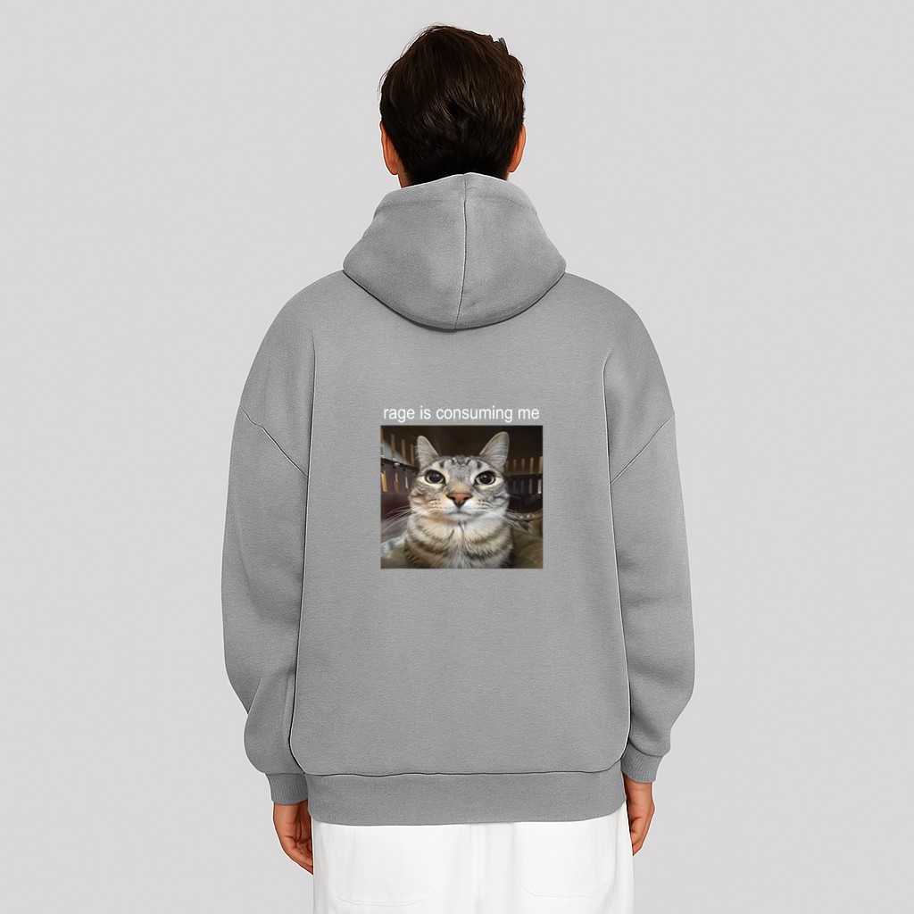 Rage Is Consuming Me Silly Staring Cat Meme Hoodie
