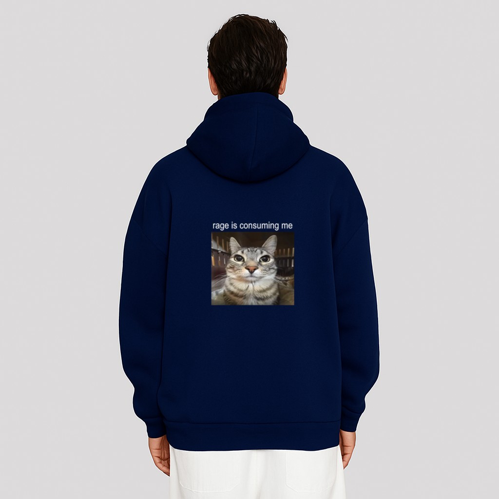Rage Is Consuming Me Silly Staring Cat Meme Hoodie
