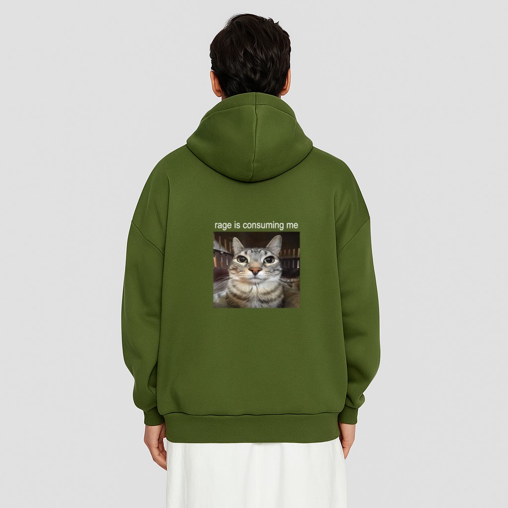 Rage Is Consuming Me Silly Staring Cat Meme Hoodie
