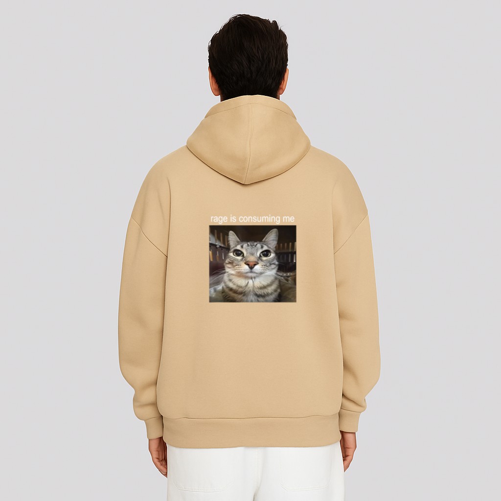 Rage Is Consuming Me Silly Staring Cat Meme Hoodie