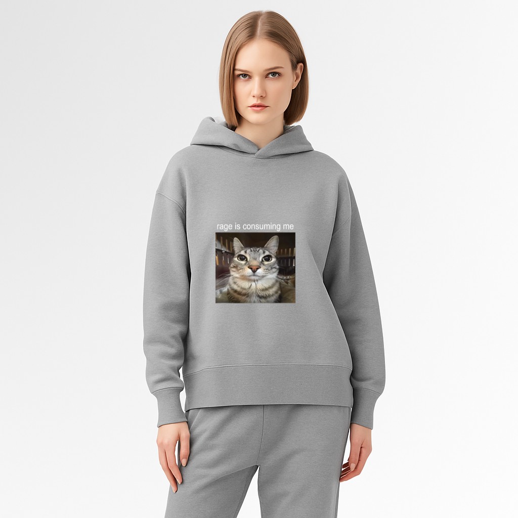 Rage Is Consuming Me Silly Staring Cat Meme Hoodie