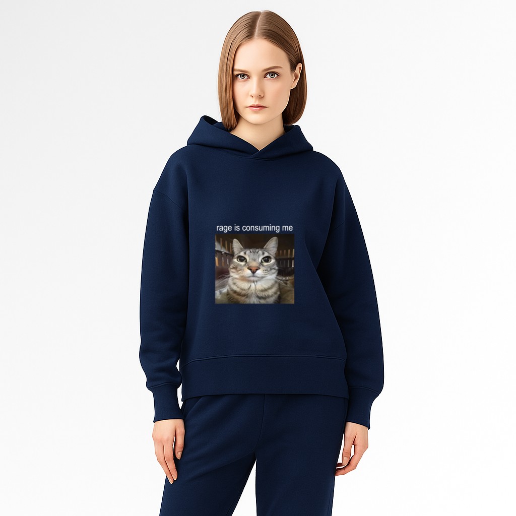 Rage Is Consuming Me Silly Staring Cat Meme Hoodie