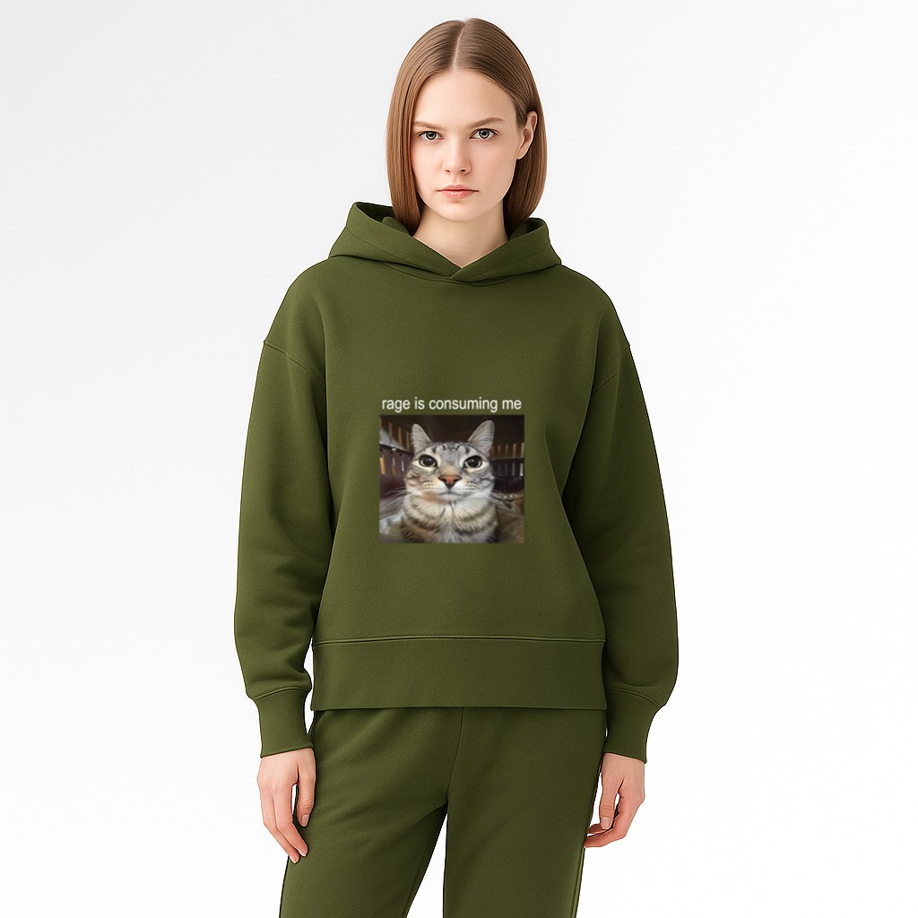 Rage Is Consuming Me Silly Staring Cat Meme Hoodie