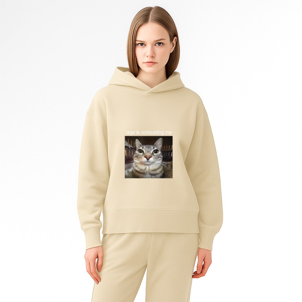 Rage Is Consuming Me Silly Staring Cat Meme Hoodie