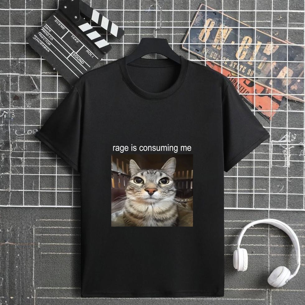 Rage Is Consuming Me Silly Staring Cat Meme T-Shirt
