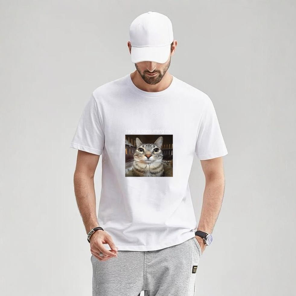 Rage Is Consuming Me Silly Staring Cat Meme T-Shirt