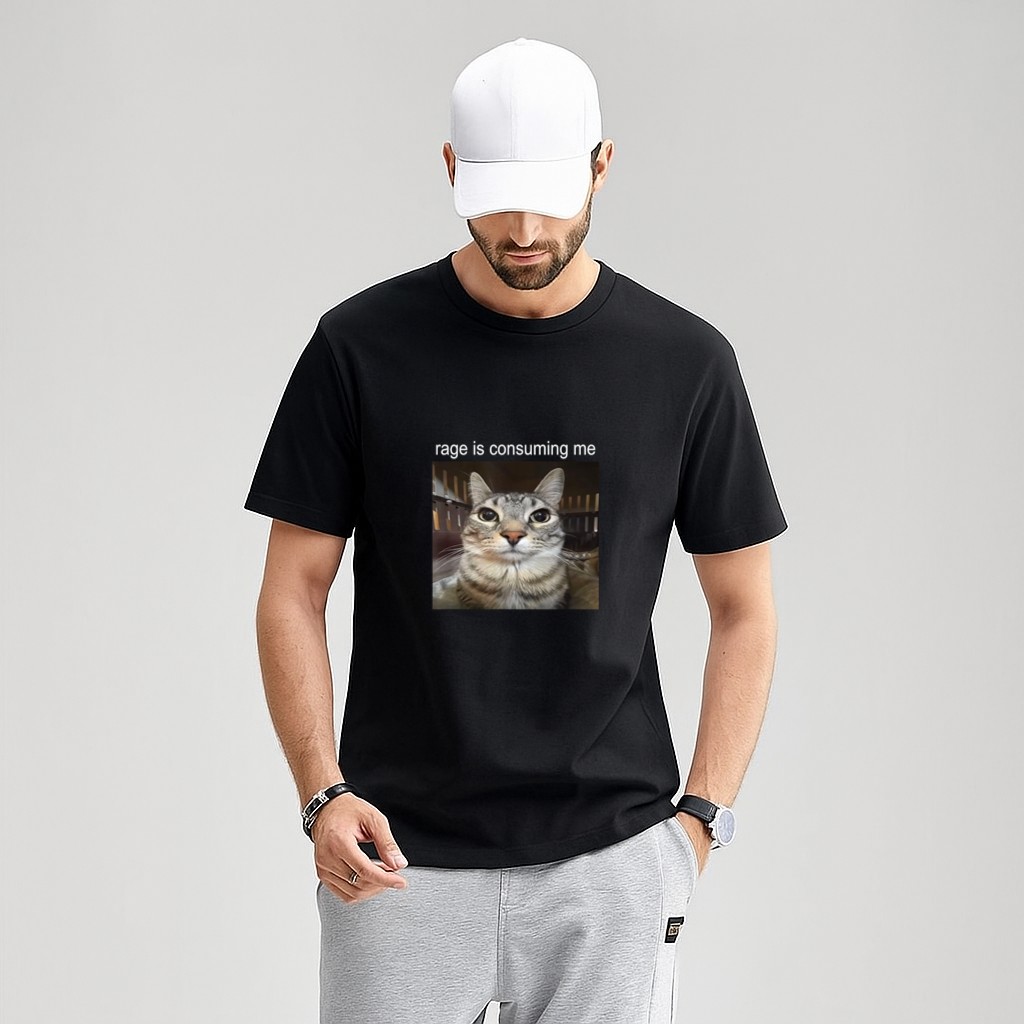 Rage Is Consuming Me Silly Staring Cat Meme T-Shirt