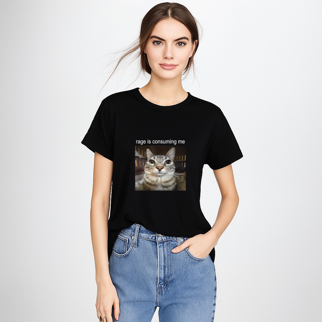 Rage Is Consuming Me Silly Staring Cat Meme T-Shirt