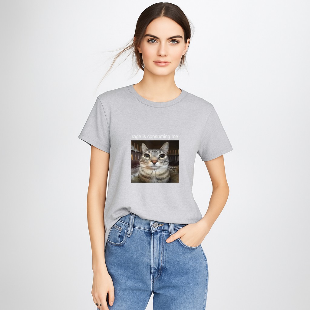 Rage Is Consuming Me Silly Staring Cat Meme T-Shirt