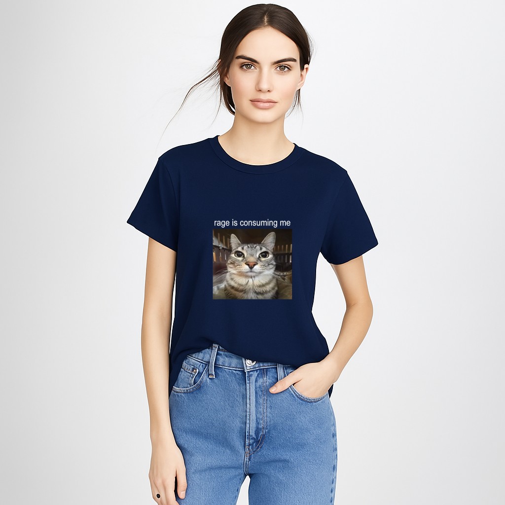 Rage Is Consuming Me Silly Staring Cat Meme T-Shirt