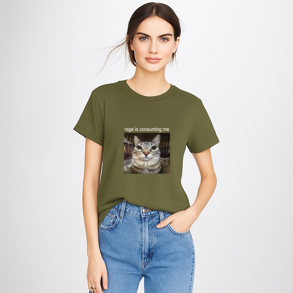Rage Is Consuming Me Silly Staring Cat Meme T-Shirt