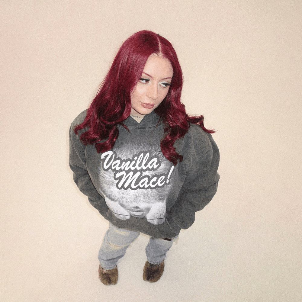 Vanillamace Merch Vanilla Mace Hoodie Gifts For Sister
